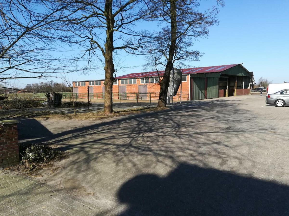 Wohlfühlurlaub Auf Dem Reit- Und Goldberg