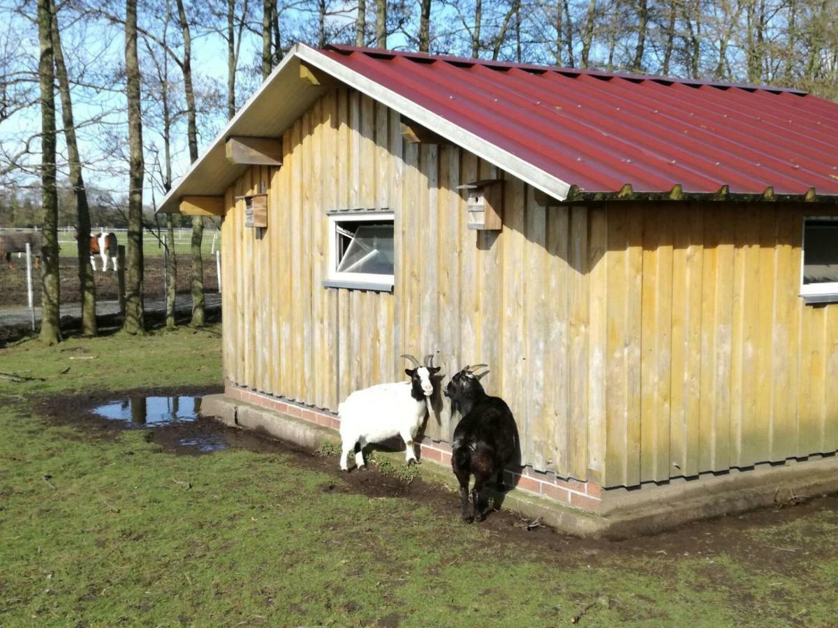 Wohlfuehlurlaub Auf Dem Reit- Und Goldberg Leezdorf