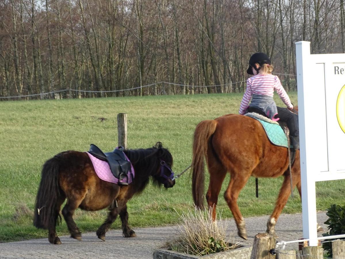 Wohlfühlurlaub Auf Dem Reit- Und Goldberg Leezdorf